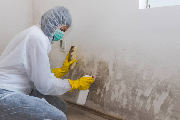 Best Residential Mold Removal  in Moses Lake, WA