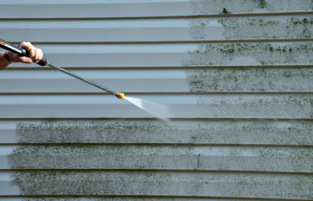 Office Mold Removal Services in Moses Lake, WA