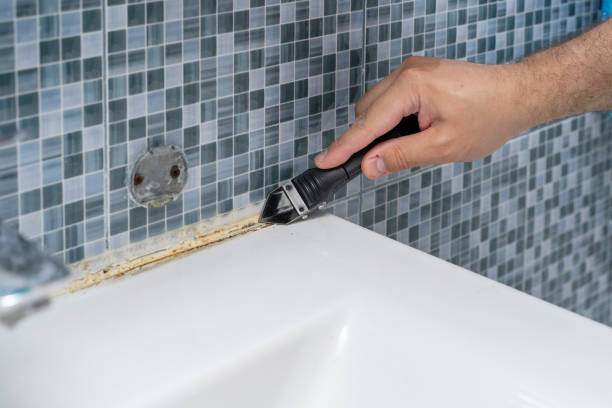 Best Local Mold Removal Service  in Moses Lake, WA