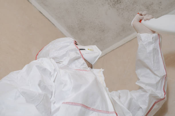 Home Mold Removal in Moses Lake, WA