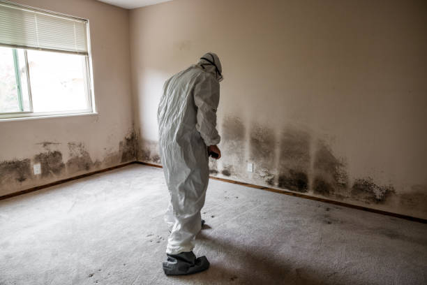 Best Crawl Space Mold Removal  in Moses Lake, WA