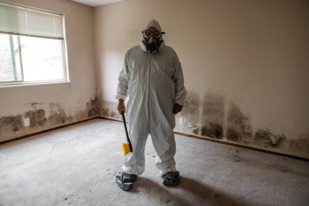 Reliable Moses Lake, WA Mold Removal Solutions