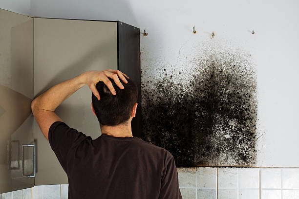  Moses Lake, WA Mold Removal Pros
